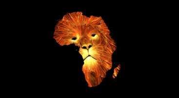 lion feu design