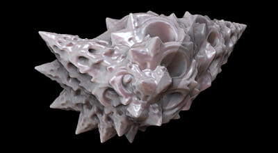shells coquillage coquille 3d