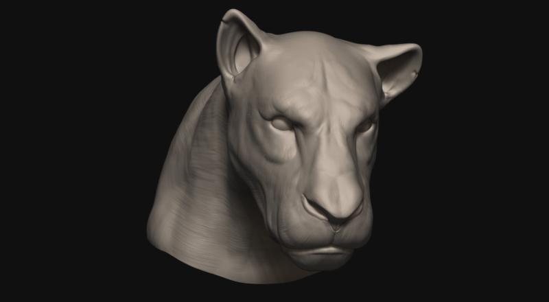 lion zbrush lioness